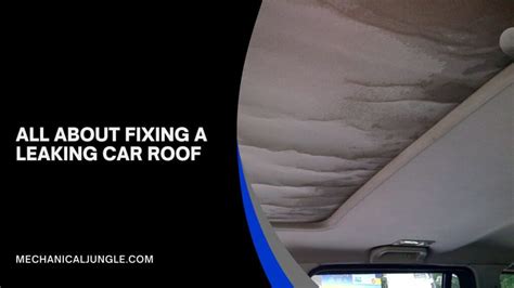 car roof leak repair|Water Leaking into Car from Roof: Causes and Fixes